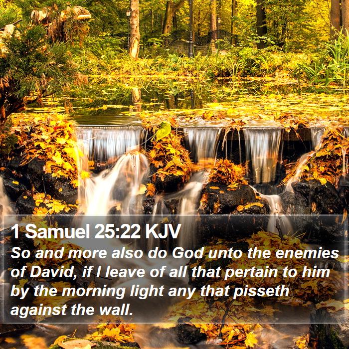 1 Samuel 25:22 KJV Bible Study