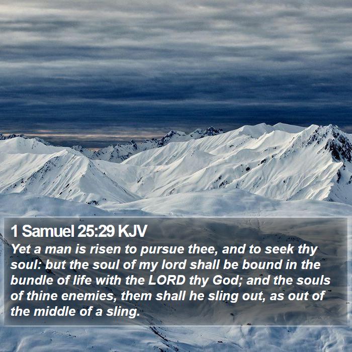 1 Samuel 25:29 KJV Bible Study