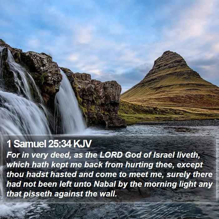 1 Samuel 25:34 KJV Bible Study