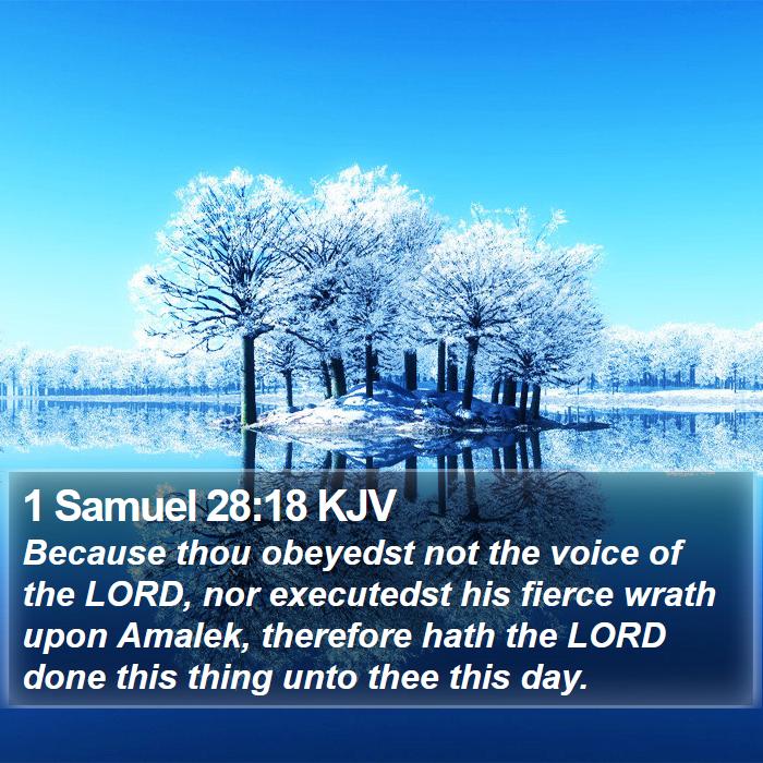 1 Samuel 28:18 KJV Bible Study