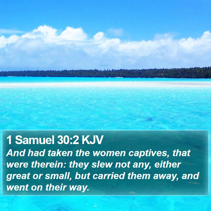 1 Samuel 30:2 KJV Bible Study