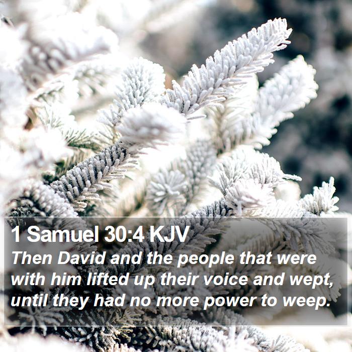 1 Samuel 30:4 KJV Bible Study