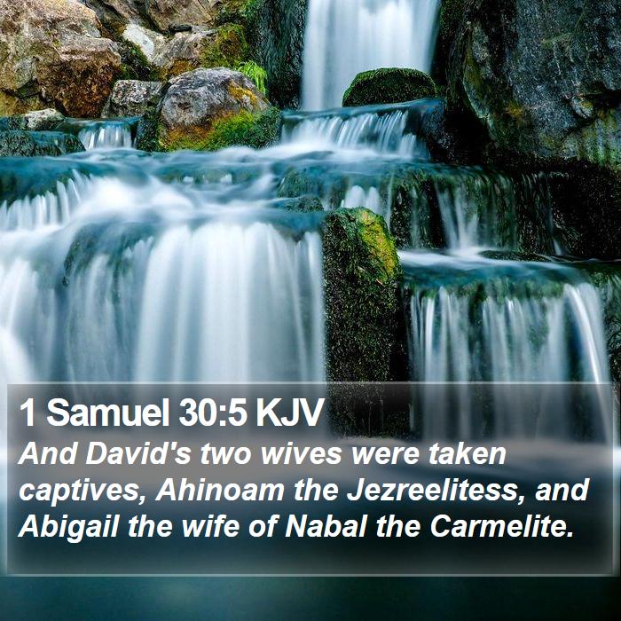 1 Samuel 30:5 KJV Bible Study