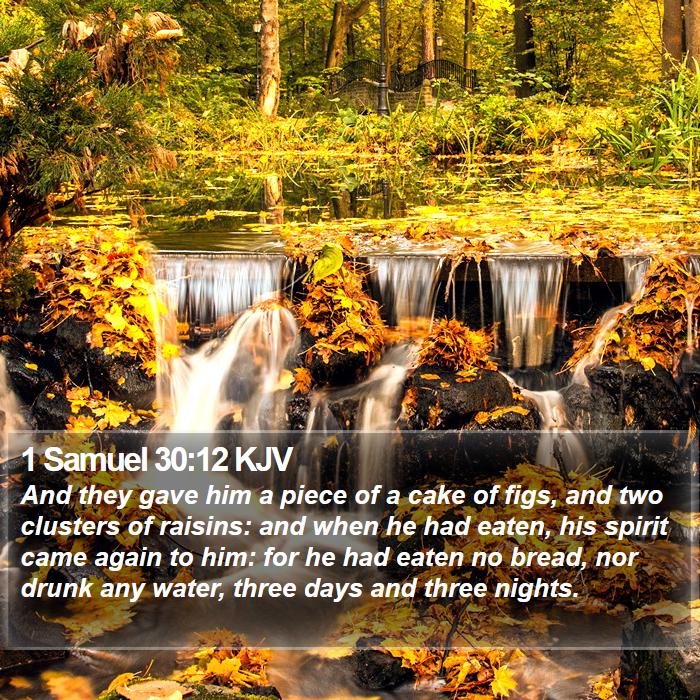 1 Samuel 30:12 KJV Bible Study