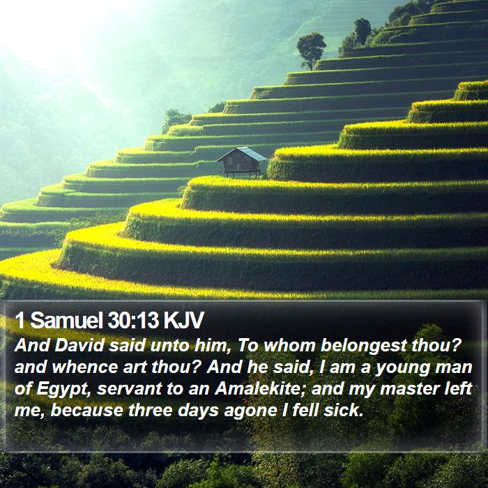 1 Samuel 30:13 KJV Bible Study