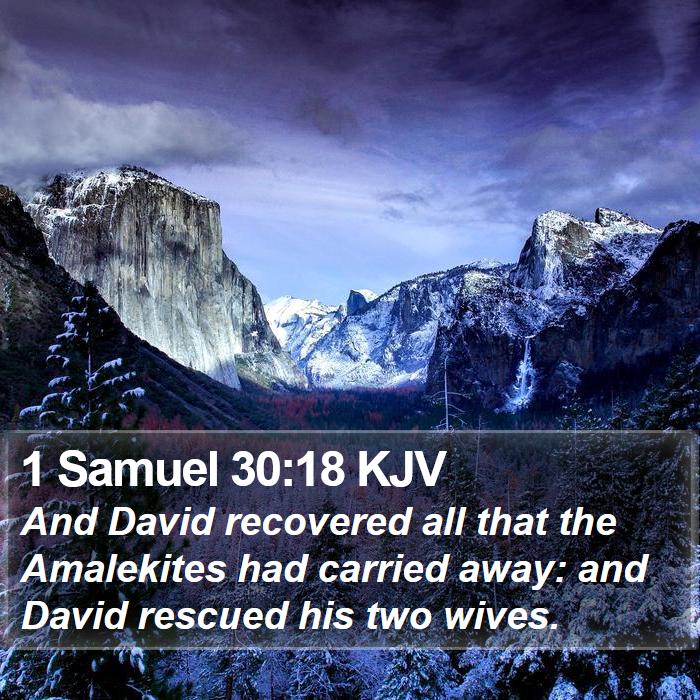 1 Samuel 30:18 KJV Bible Study