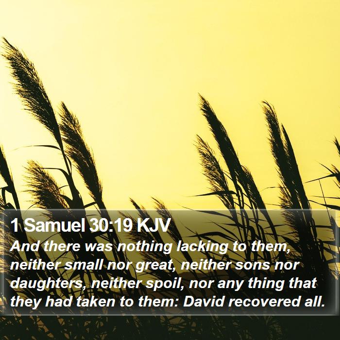 1 Samuel 30:19 KJV Bible Study