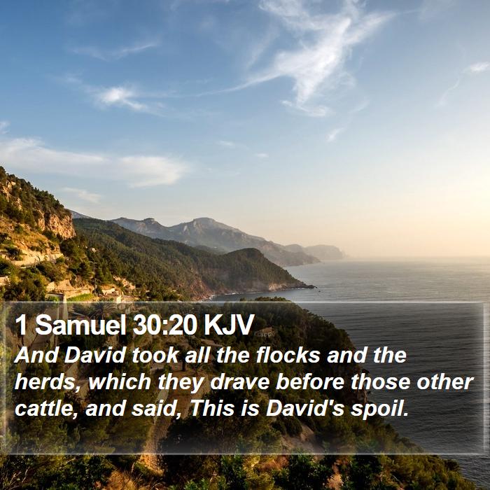 1 Samuel 30:20 KJV Bible Study