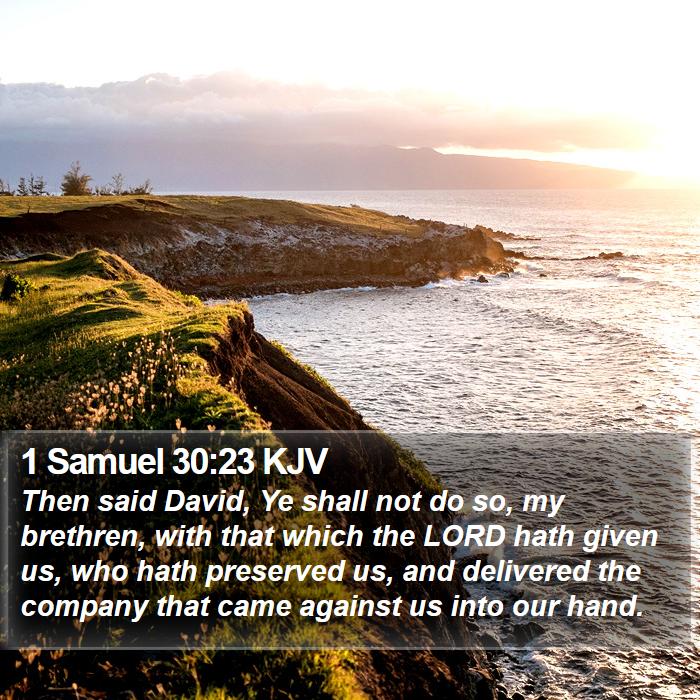 1 Samuel 30:23 KJV Bible Study