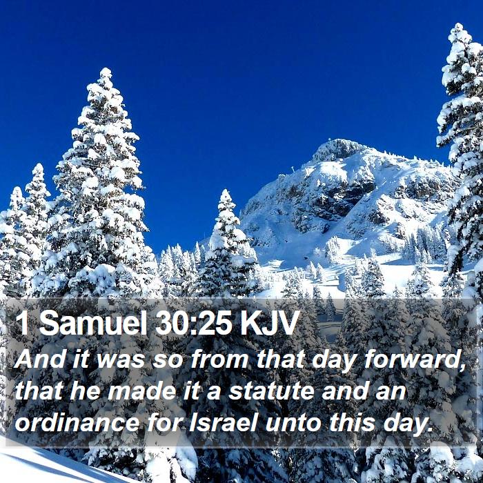 1 Samuel 30:25 KJV Bible Study