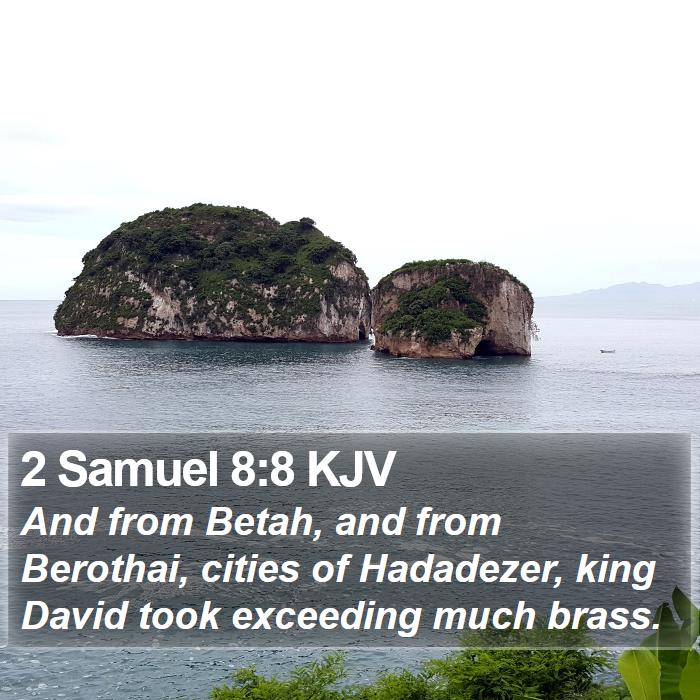 2 Samuel 8:8 KJV Bible Study