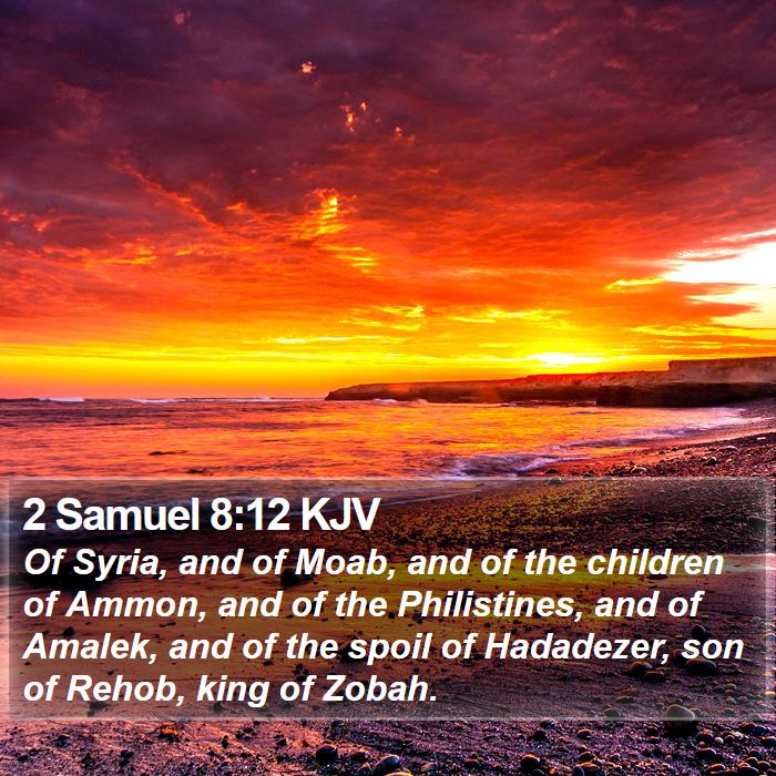 2 Samuel 8:12 KJV Bible Study