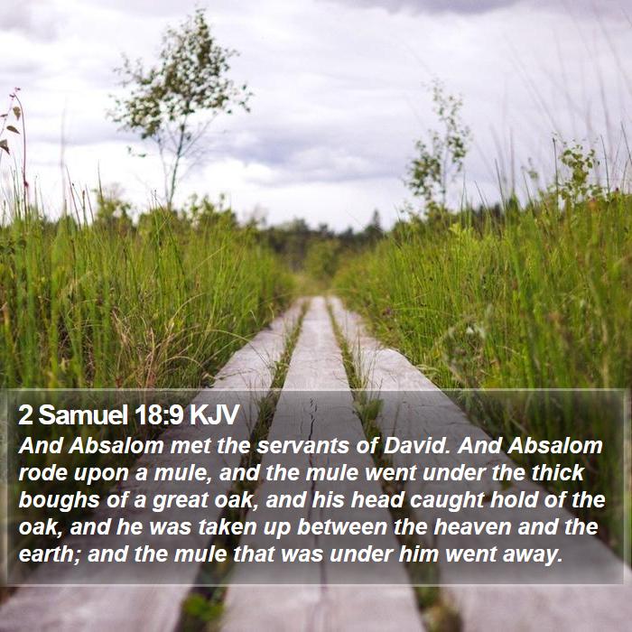 2 Samuel 18:9 KJV Bible Study