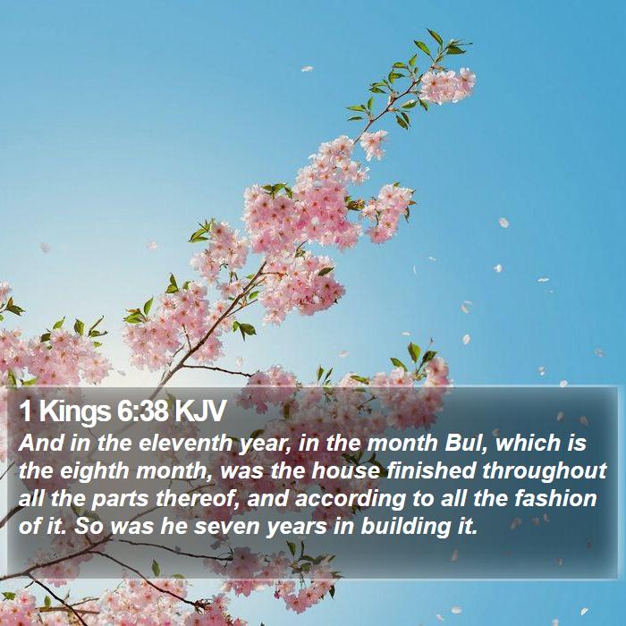 1 Kings 6:38 KJV Bible Study