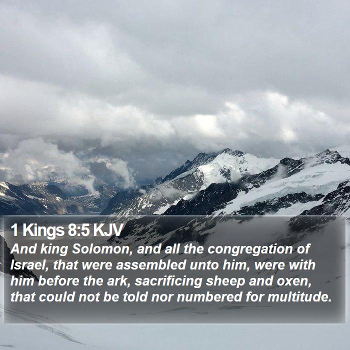 1 Kings 8:5 KJV Bible Study