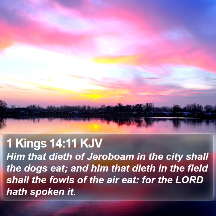 1 Kings 14:11 KJV Bible Study