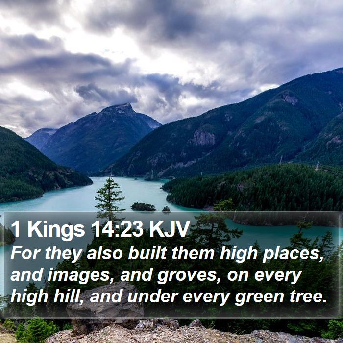 1 Kings 14:23 KJV Bible Study