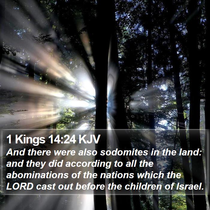 1 Kings 14:24 KJV Bible Study