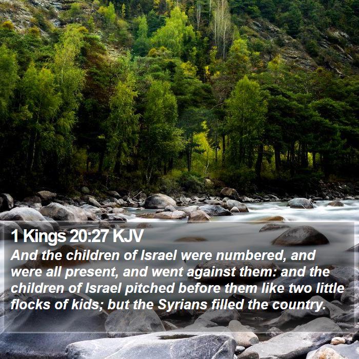 1 Kings 20:27 KJV Bible Study