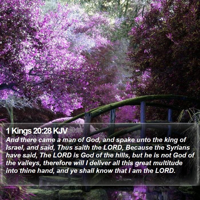 1 Kings 20:28 KJV Bible Study