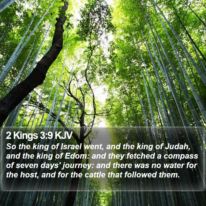 2 Kings 3:9 KJV Bible Study