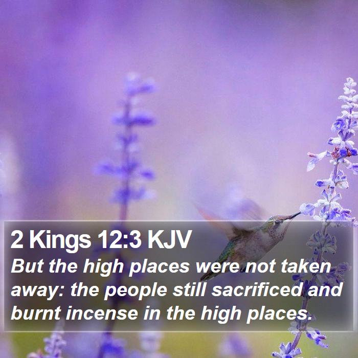 2 Kings 12:3 KJV Bible Study