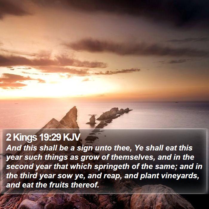 2 Kings 19:29 KJV Bible Study