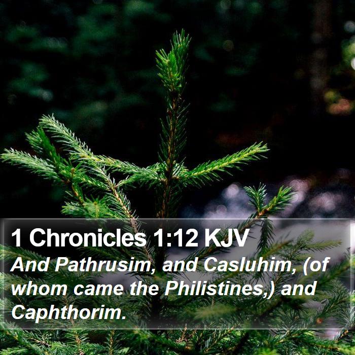 1 Chronicles 1:12 KJV Bible Study