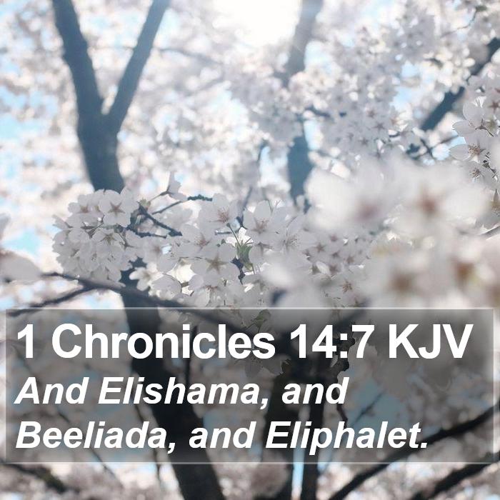 1 Chronicles 14:7 KJV Bible Study