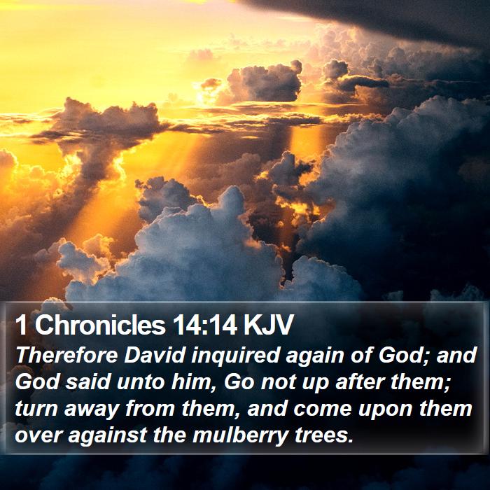 1 Chronicles 14:14 KJV Bible Study