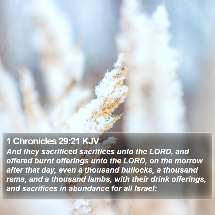 1 Chronicles 29:21 KJV Bible Study