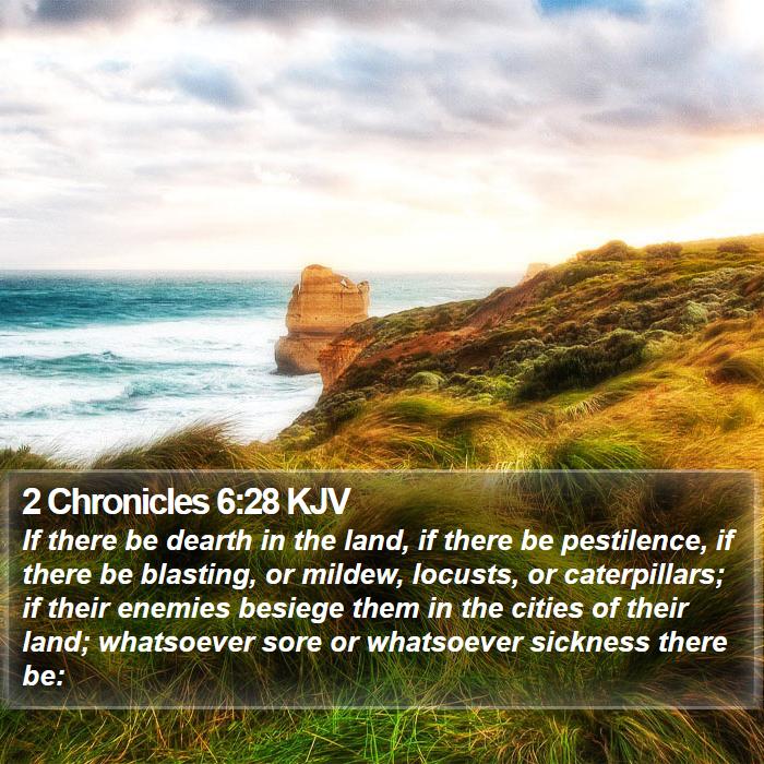 2 Chronicles 6:28 KJV Bible Study