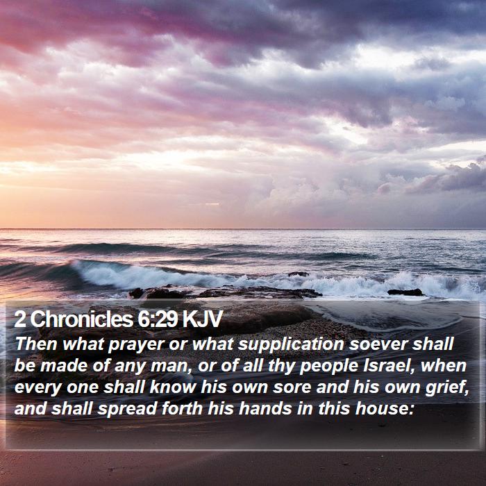 2 Chronicles 6:29 KJV Bible Study