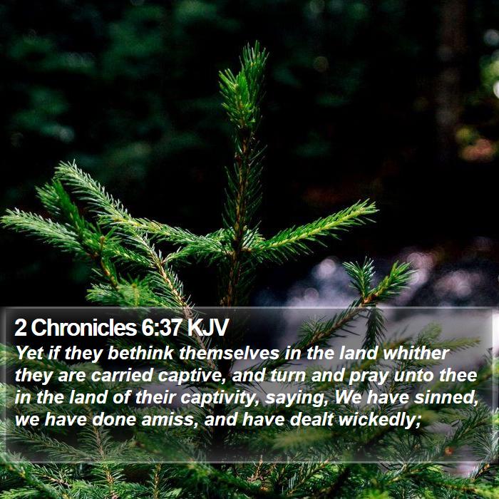 2 Chronicles 6:37 KJV Bible Study