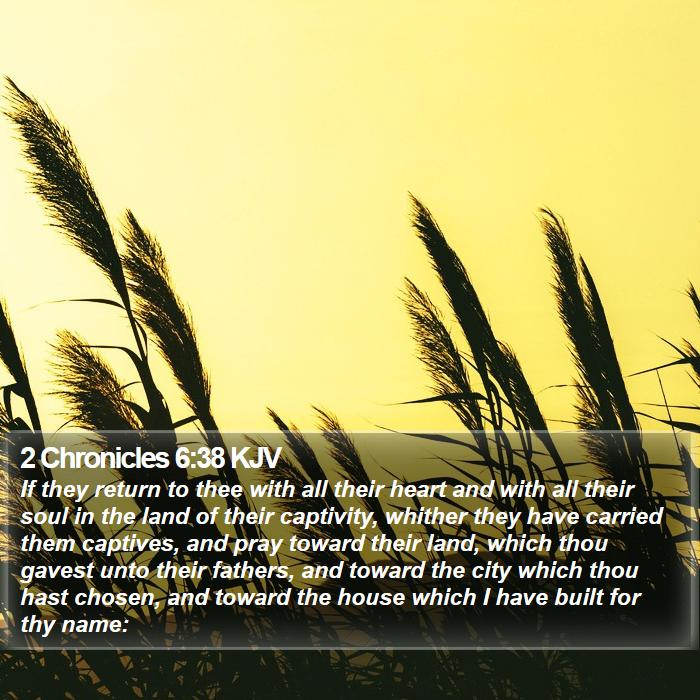 2 Chronicles 6:38 KJV Bible Study