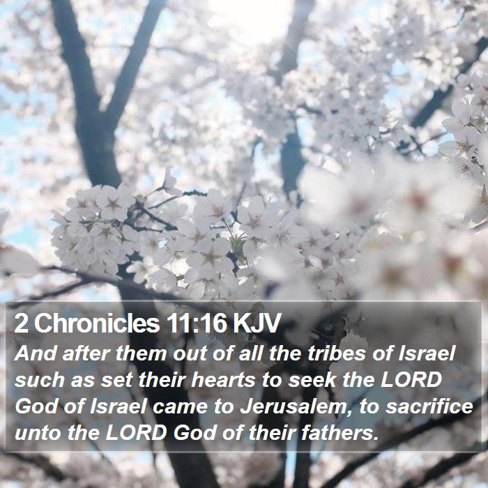 2 Chronicles 11:16 KJV Bible Study