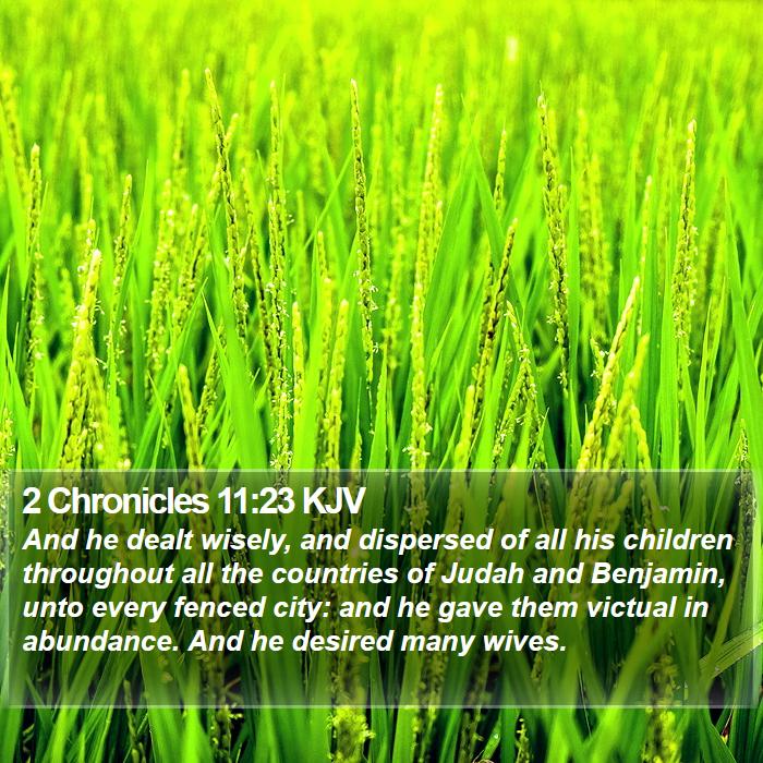 2 Chronicles 11:23 KJV Bible Study