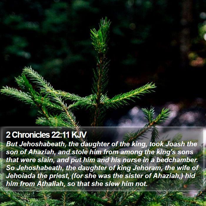 2 Chronicles 22:11 KJV Bible Study