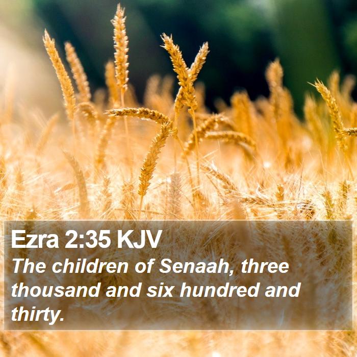 Ezra 2:35 KJV Bible Study