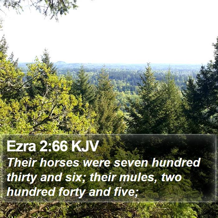 Ezra 2:66 KJV Bible Study