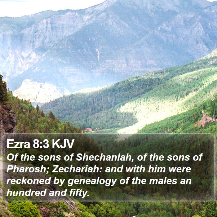 Ezra 8:3 KJV Bible Study