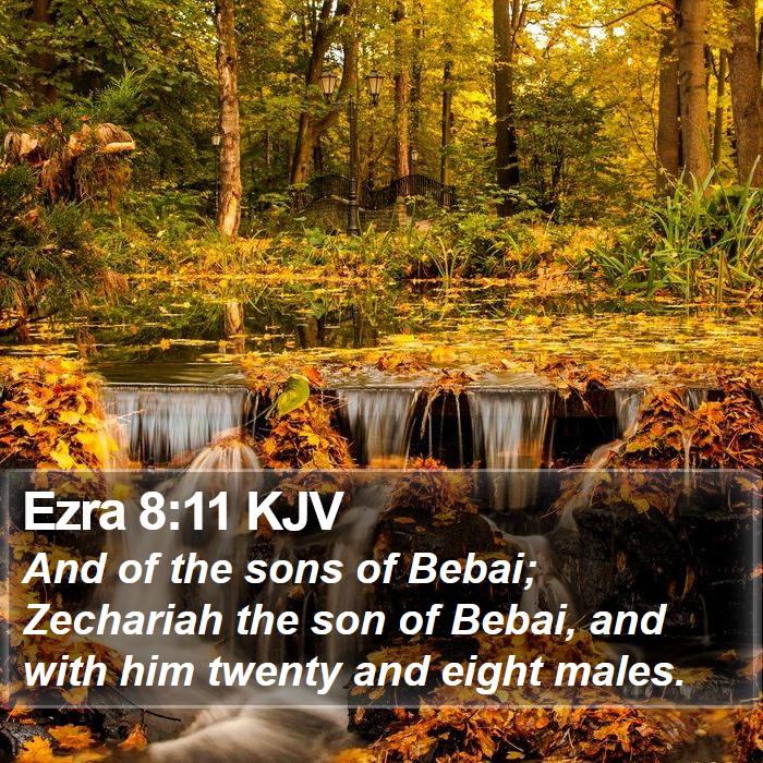 Ezra 8:11 KJV Bible Study