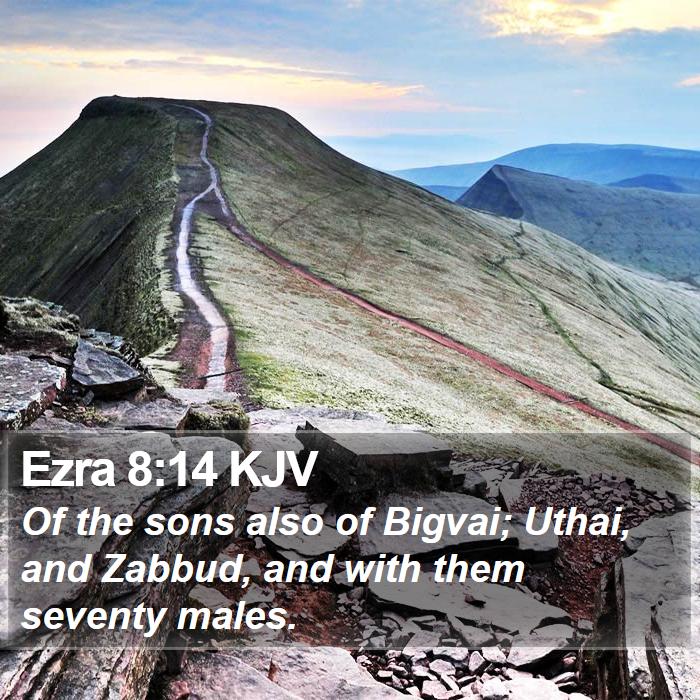 Ezra 8:14 KJV Bible Study