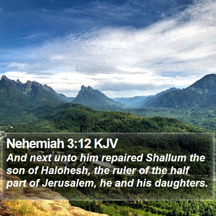 Nehemiah 3:12 KJV Bible Study