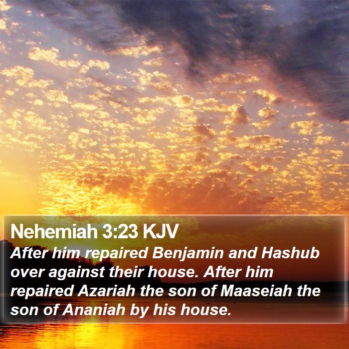 Nehemiah 3:23 KJV Bible Study