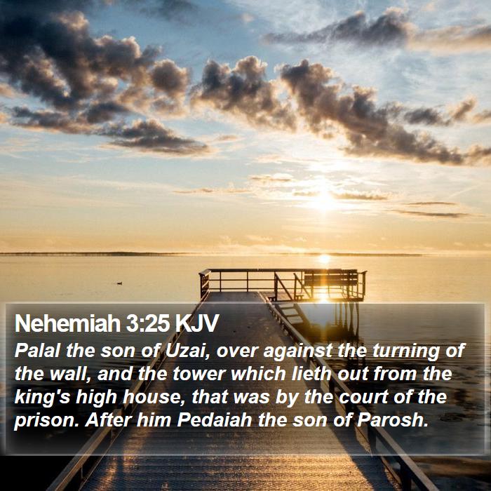 Nehemiah 3:25 KJV Bible Study