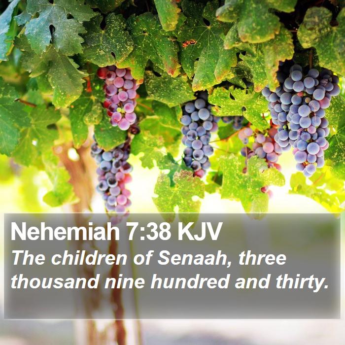 Nehemiah 7:38 KJV Bible Study