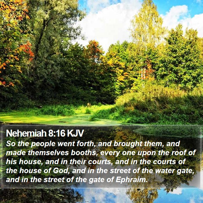 Nehemiah 8:16 KJV Bible Study