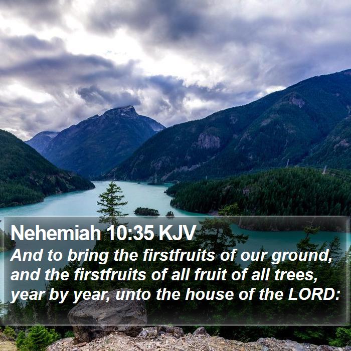 Nehemiah 10:35 KJV Bible Study