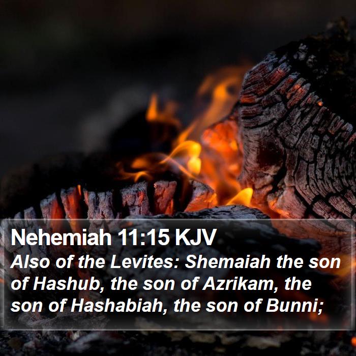 Nehemiah 11:15 KJV Bible Study